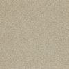 Mosaic ZMOS06004